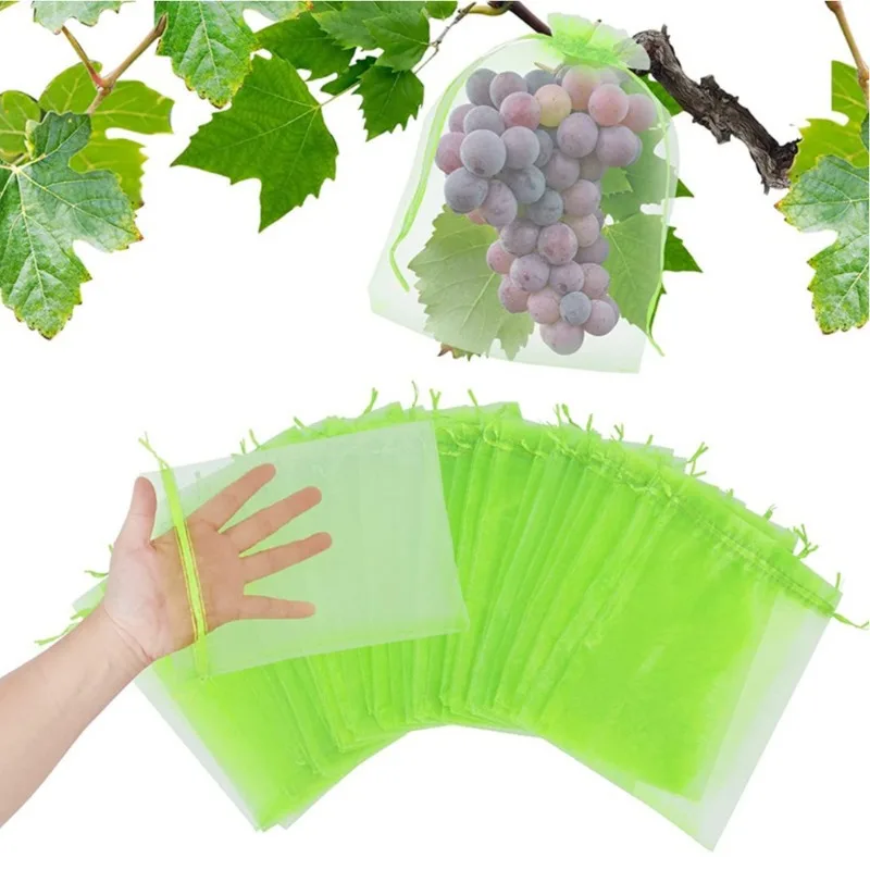 50 stuks 20x30cm Fruitbescherm - Mesh Net Bag recensie en prijs
