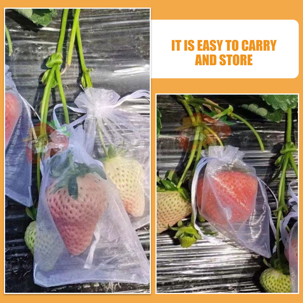 50 stuks fruitbeschermingszakk - Mesh Net Bag recensie en prijs